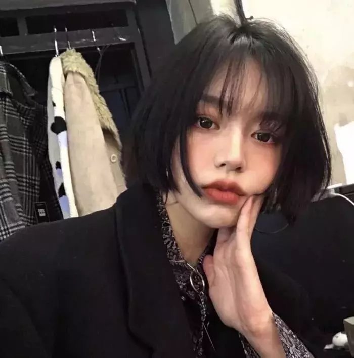 摇滚藏獒蓝色光芒