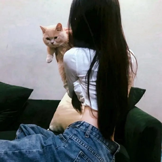 小世界